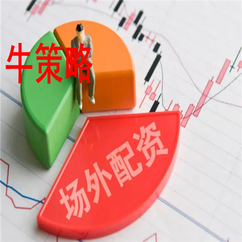 公司将与其他公司和组织合作